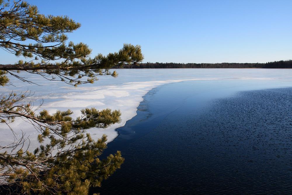 Lähitapaaminen: Kehollisuus työnohjauksessa