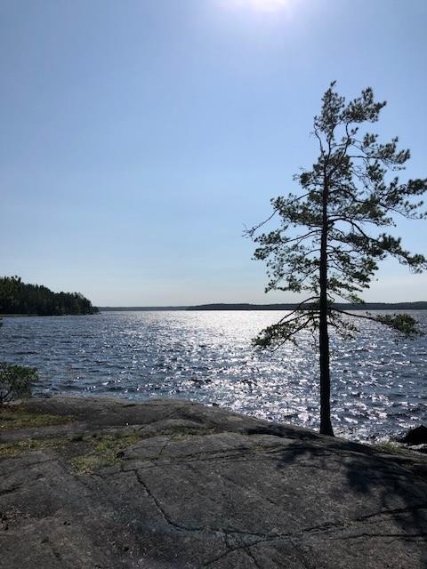 Lähitapahtuma: Jäsenilta Varsinais-Suomessa
