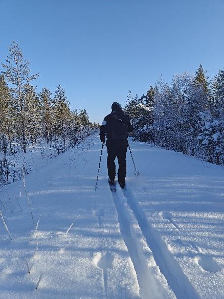 Lähitapahtuma: Työnohjauksen päivän kisakatsomo