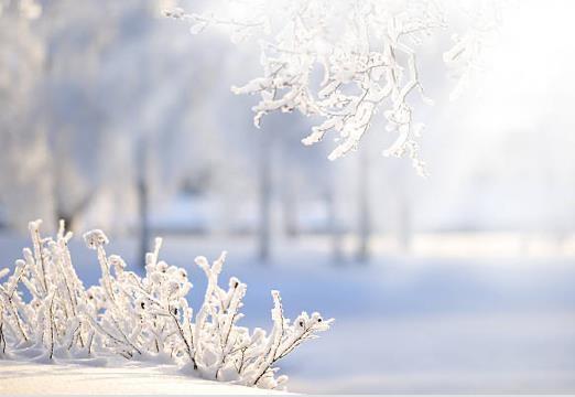 Työnohjauksenpäivä 27.1.2026 klo 17-19 -Tahto ja toiminta työnohjauksessa