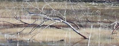 Lähitapahtuma: ELÄYTYMINEN DRAAMAN KEINOIN